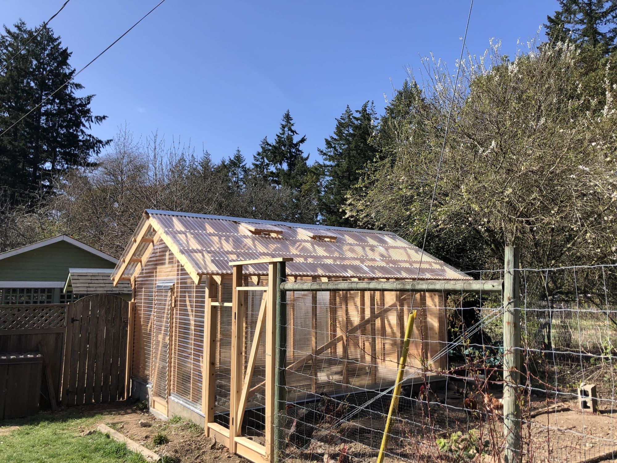 The Greenhouse — photo 1