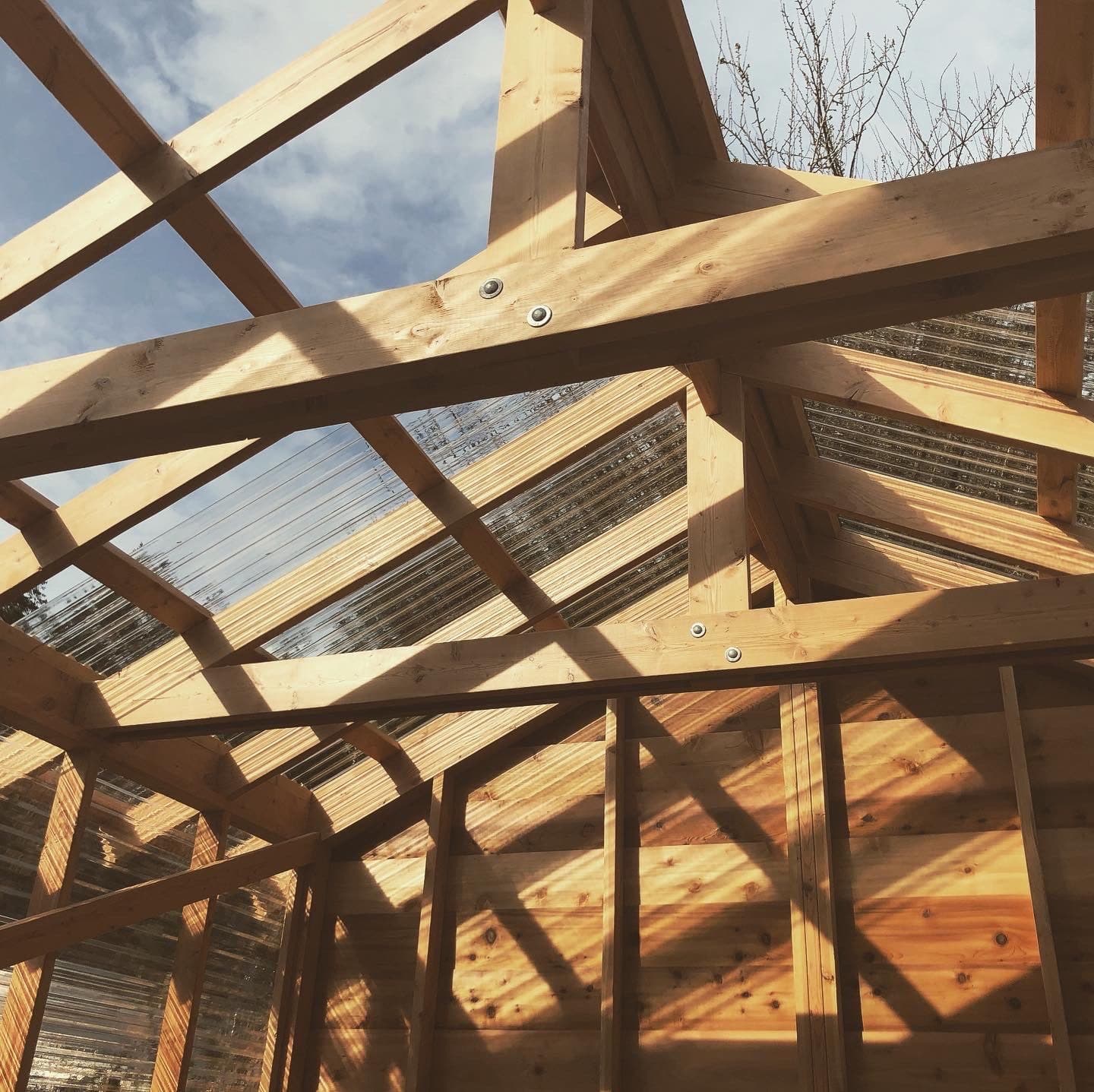 Cedar rafters and glazing framed against the sky on a Salt Spring build